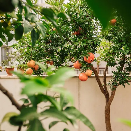 Appartement Modern With Loggia Terrace And Parking *