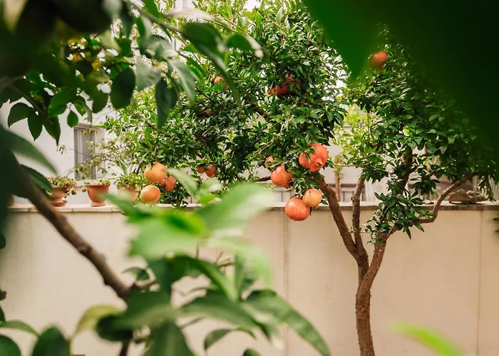 Appartamento Modern With Loggia Terrace And Parking *